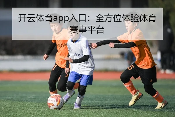 开云体育app入口:全方位体验体育赛事平台