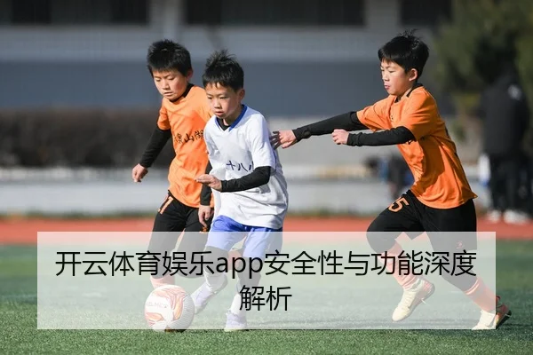 开云体育娱乐app安全性与功能深度解析