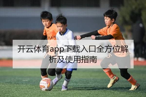 开云体育app下载入口全方位解析及使用指南