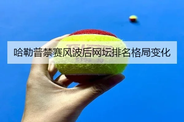 哈勒普禁赛风波后网坛排名格局变化